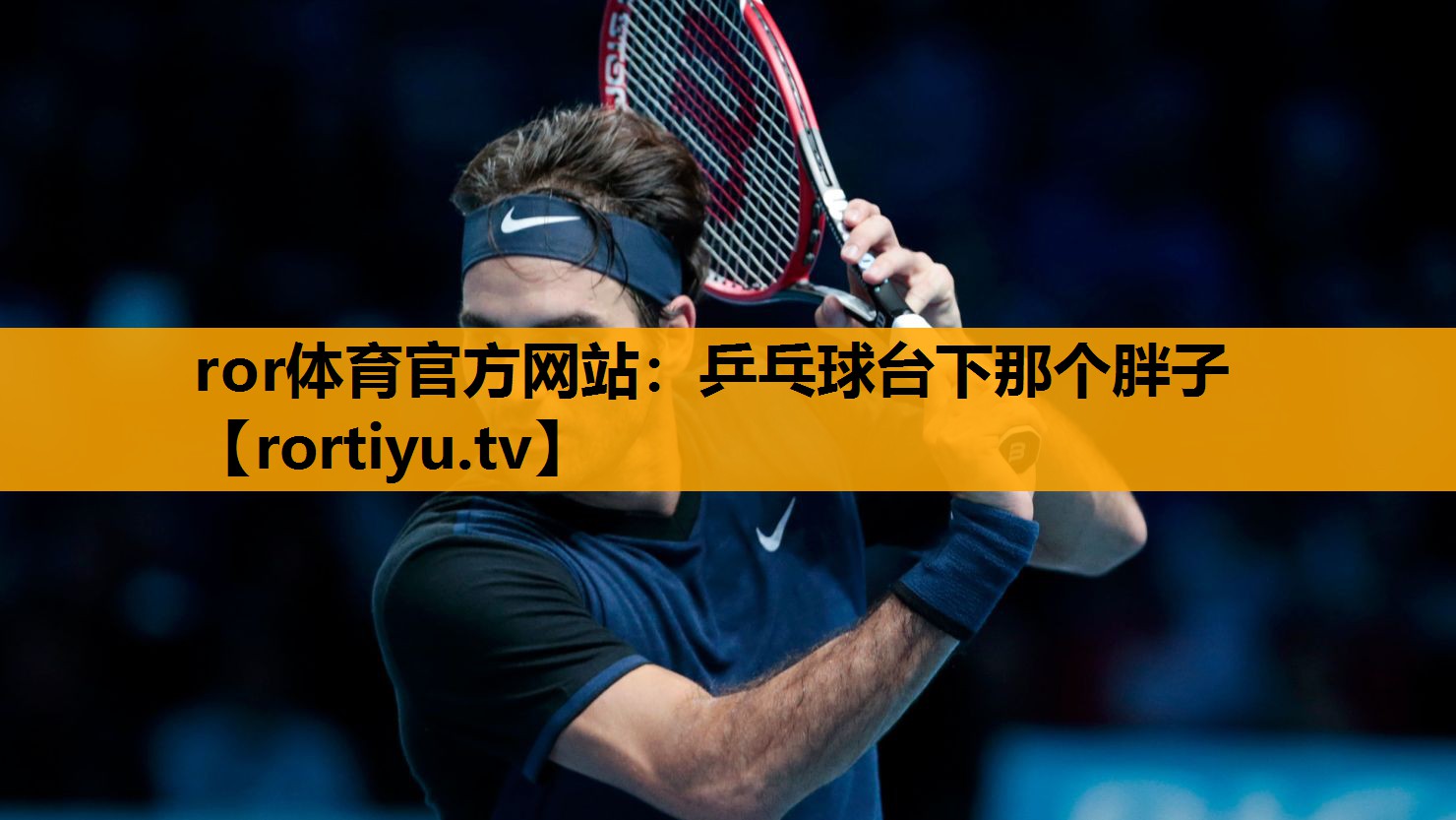 乒乓球台下那个胖子
