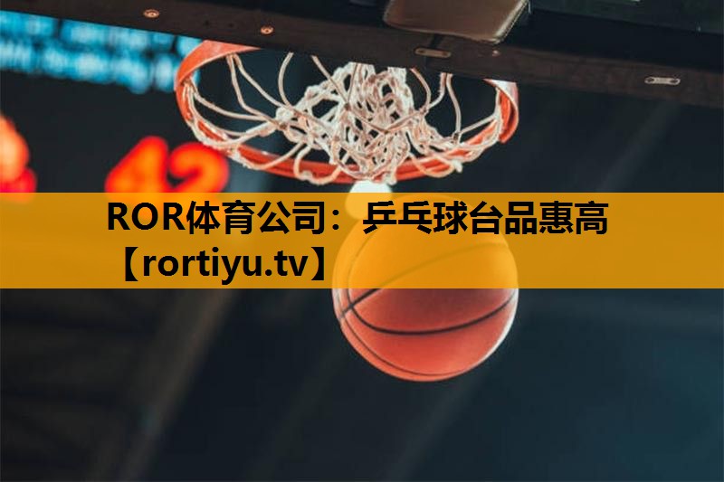 乒乓球台品惠高