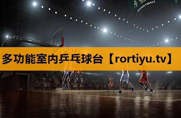 多功能室内乒乓球台