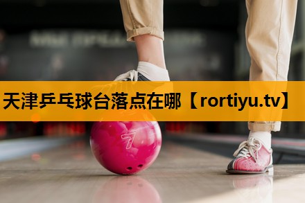 天津乒乓球台落点在哪