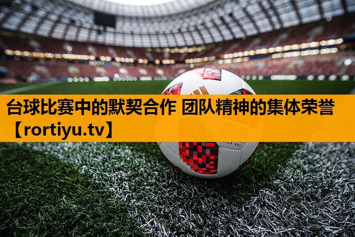 台球比赛中的默契合作 团队精神的集体荣誉