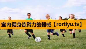 室内健身练臂力的器械