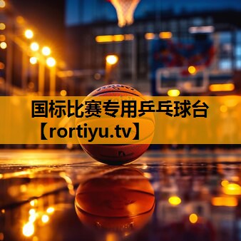 国标比赛专用乒乓球台
