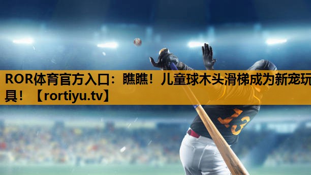 瞧瞧！儿童球木头滑梯成为新宠玩具！