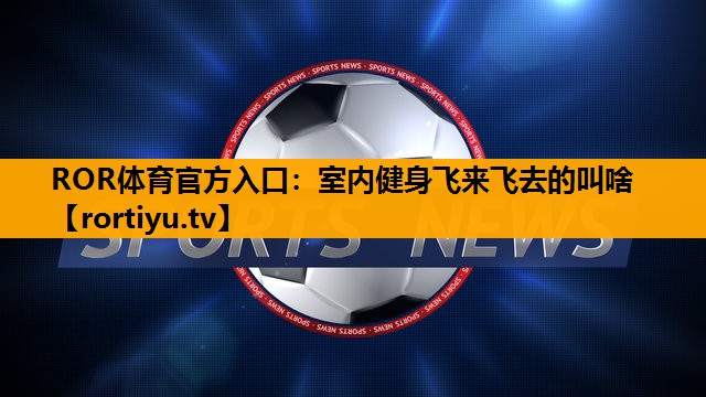 室内健身飞来飞去的叫啥