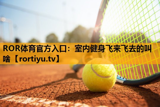 室内健身飞来飞去的叫啥